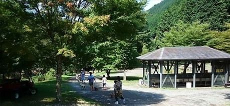 自然豊かなキャンプ場
