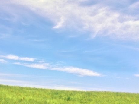 草原と青空