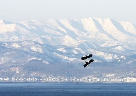 知床半島の景色