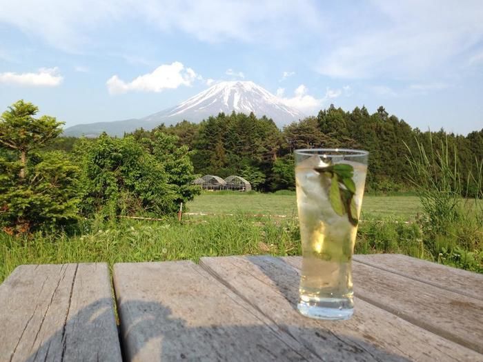 富士ヶ嶺・おいしいキャンプ場で飲むモヒート