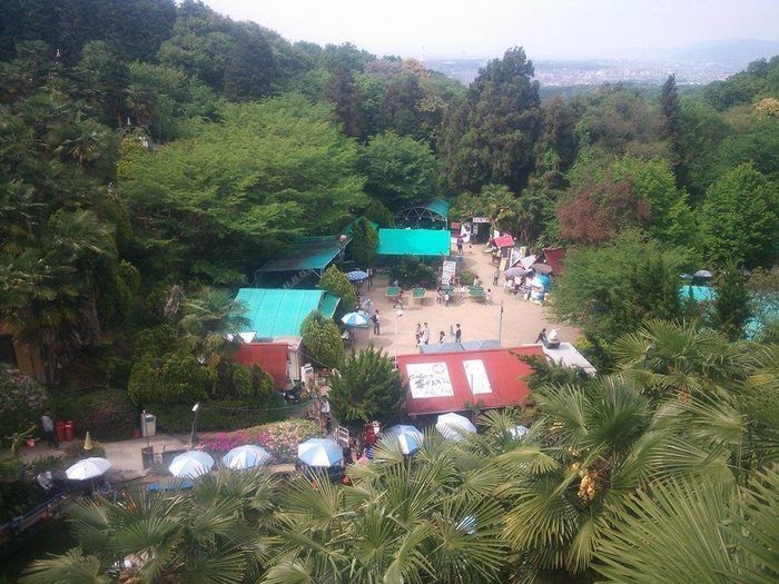 城山オレンヂ園