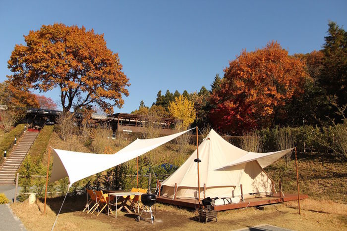 紅葉している木の下に張られたテント
