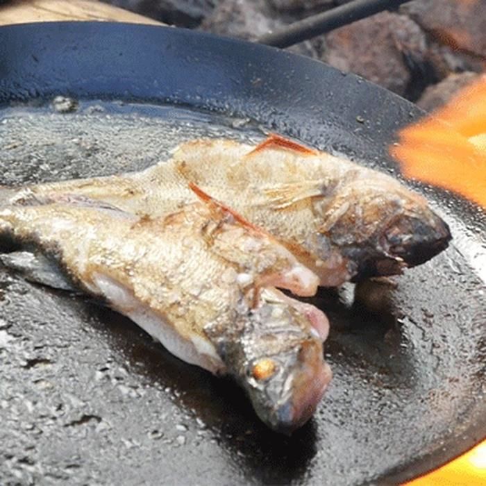 焚き火フライパンの上で焼かれた魚