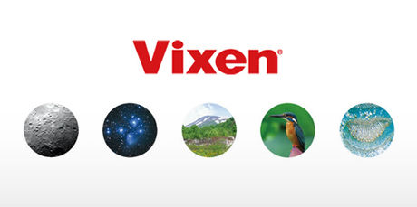 Vixenのロゴ
