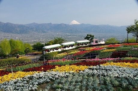 山梨吹川フルーツ公園の花園