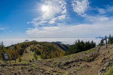 山頂から見た景色