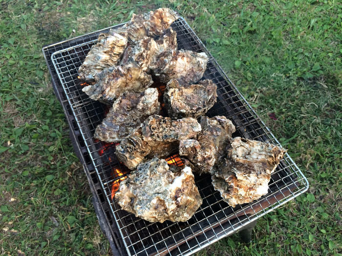 バーベキューで焼かれる牡蠣