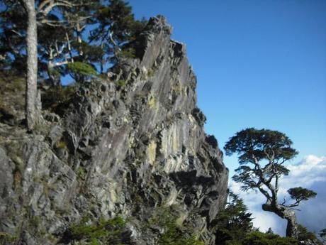 岩肌