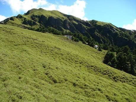 緩やかな山