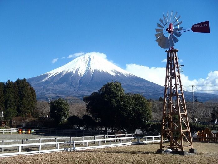 まかいの牧場