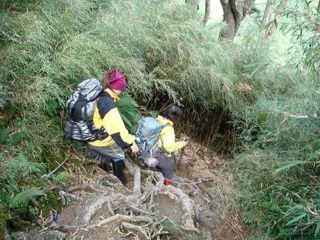 険しい登山道を下る人