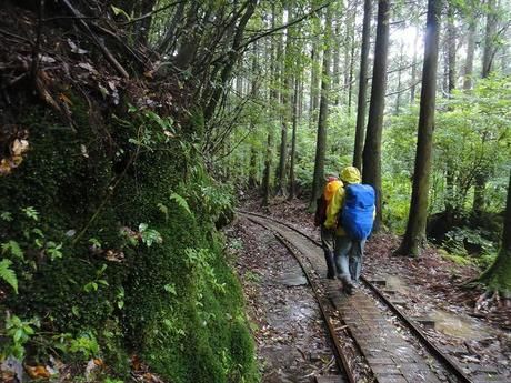 ザックカバーを付けた荷物を持って登山する人