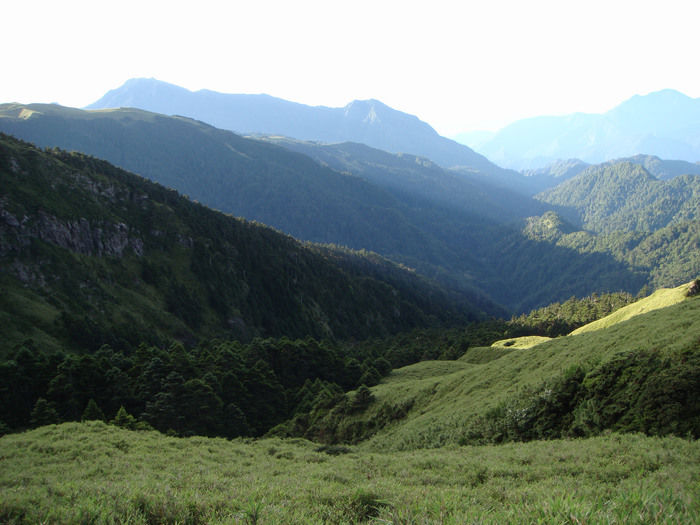 青々とした山