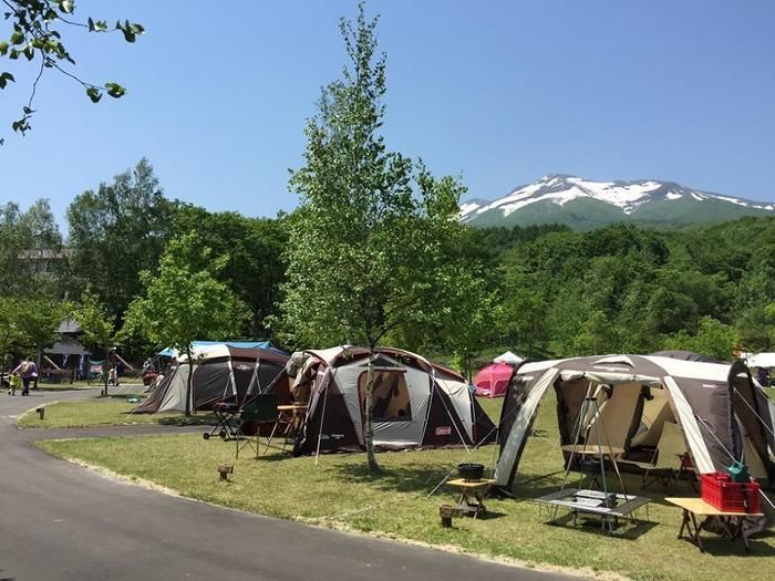 キャンプ場と森と山
