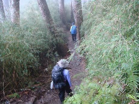 草が押し茂る山道を歩く女性