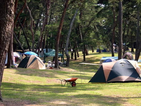 茨城・大洗の大洗キャンプ場