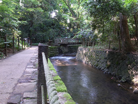等々力渓谷と中を流れる谷沢川