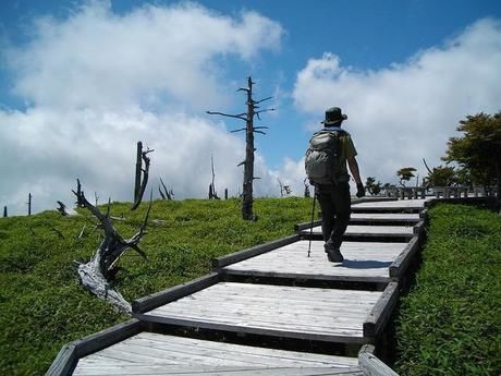整備された登山道