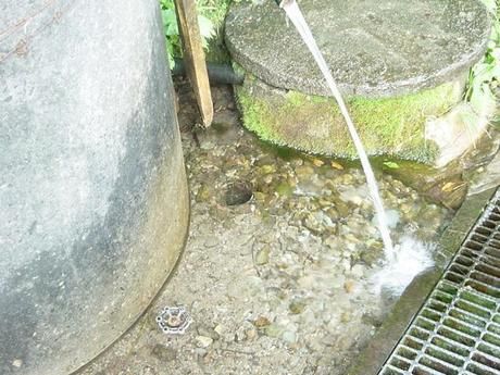 ホースから出る水