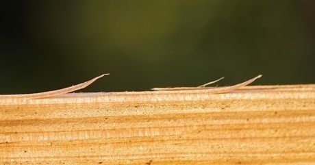 木材のささくれ