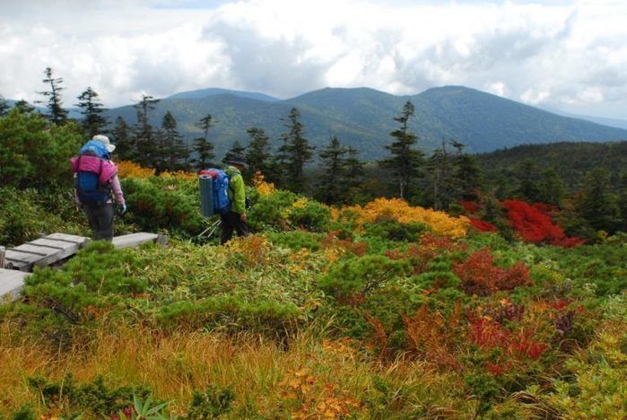紅葉した西吾妻山に登る人