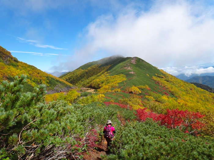 紅葉した乗鞍岳