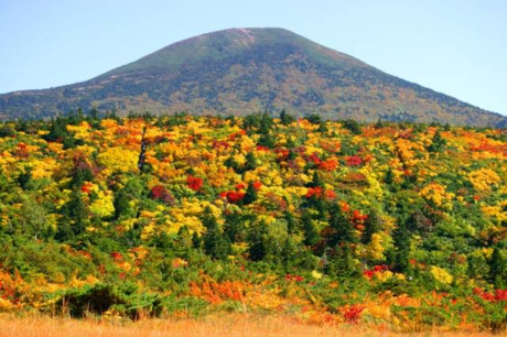 紅葉した八甲田山