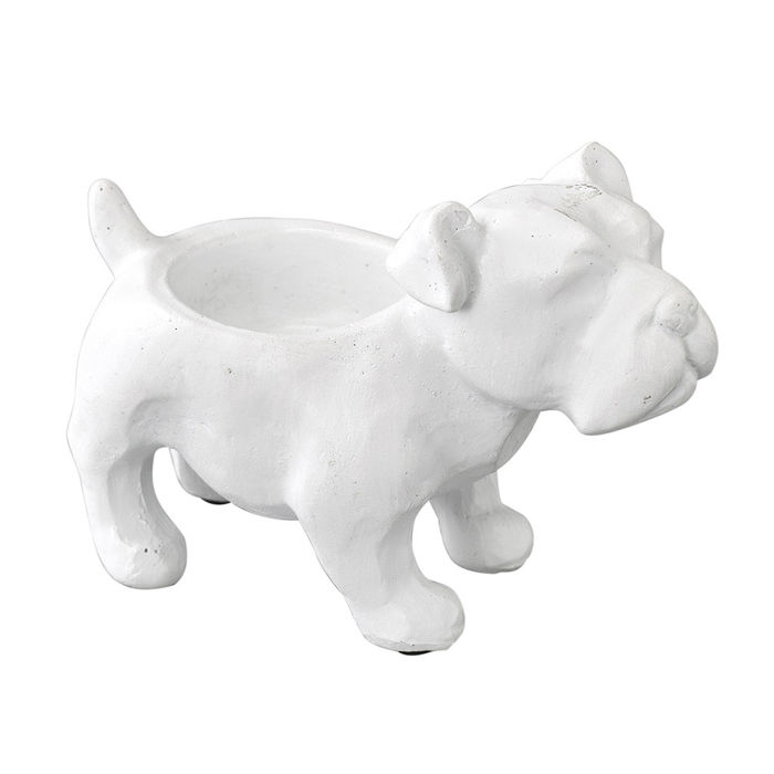 スパイスのANIAML PETIT POT DOG