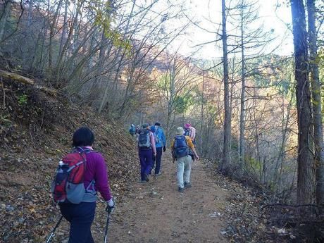 新潟県、平ヶ岳の登山道