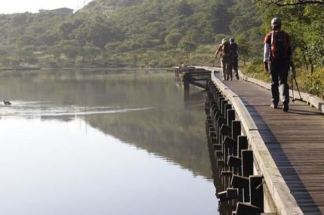 湖のほとりを散歩する人