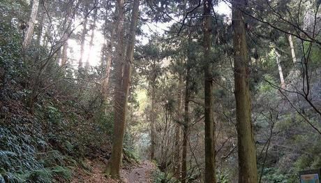 巻機山の登山道
