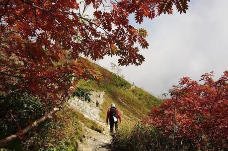 紅葉した巻機山の登山道を歩く人