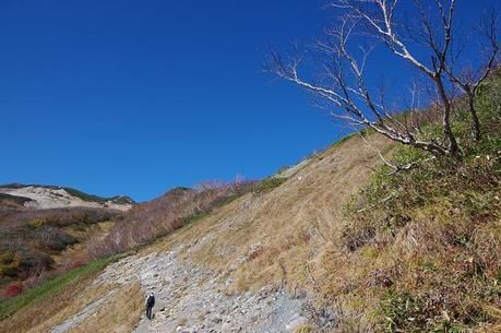 巻機山の登山道、井戸尾根コースを歩く人