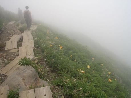 霧に包まれた巻機山の登山道