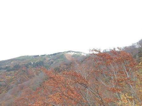 巻機山の登山道、井戸尾根コース