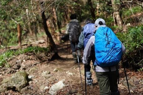 天城山の万二郎岳と万三郎岳周遊ルートを歩く人
