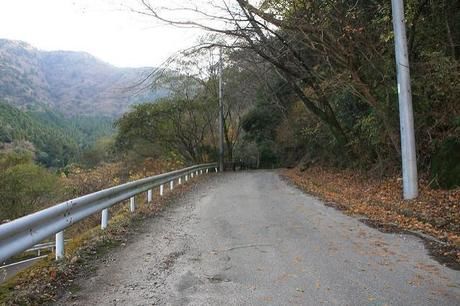 山の車道