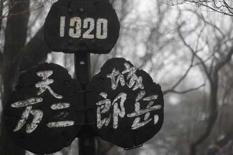 天城山の山道に立つ万二郎岳と万三郎岳の看板