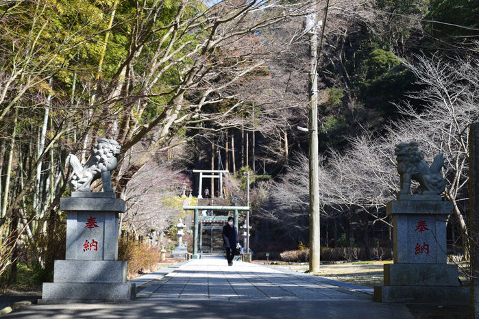 天園ハイキングコースの山道