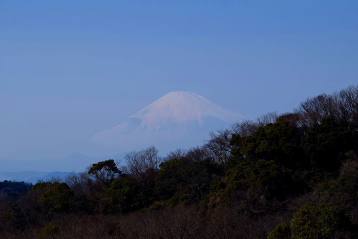 半僧坊の展望台から見える富士山