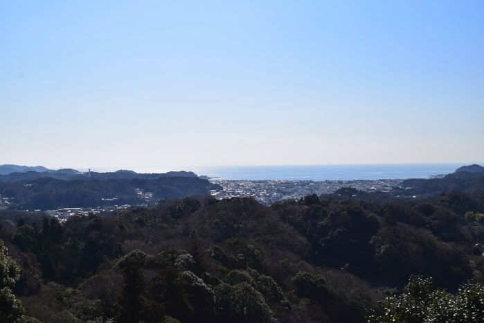 勝上献展望台からの景色