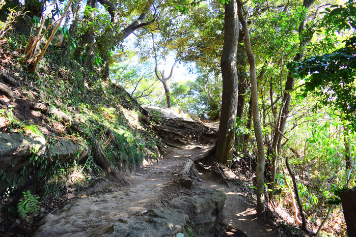 山道