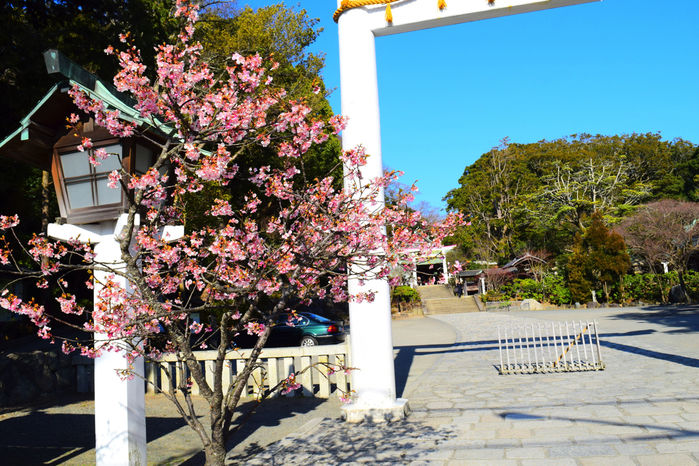 鎌倉宮