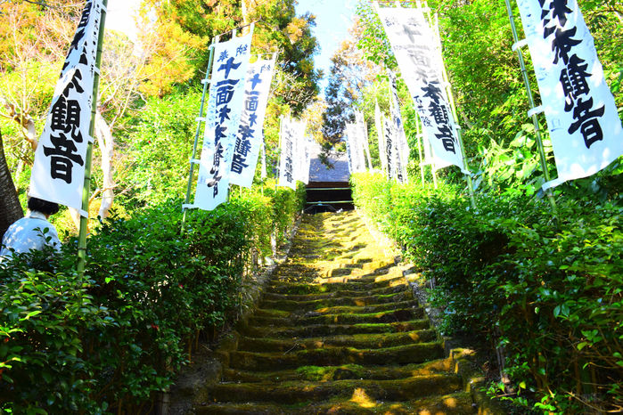 鎌倉のお寺巡り