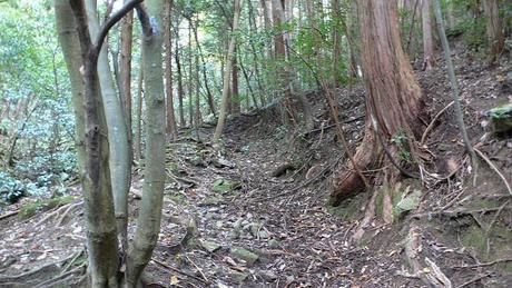 鳳凰三山巡りコースの山道