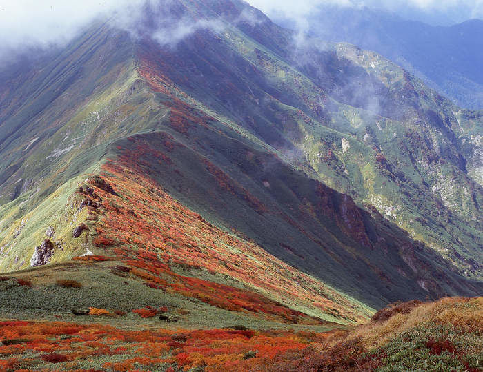 紅葉した高嶺
