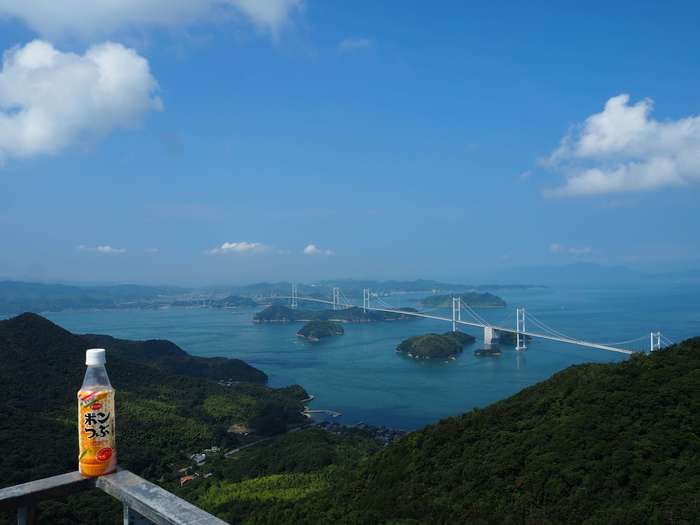 亀老山展望台から見下ろした海