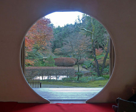 明月院で撮れる紅葉の景色