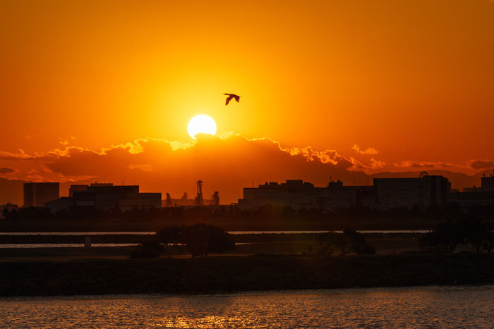 葛西臨海公園の夕日と街並み