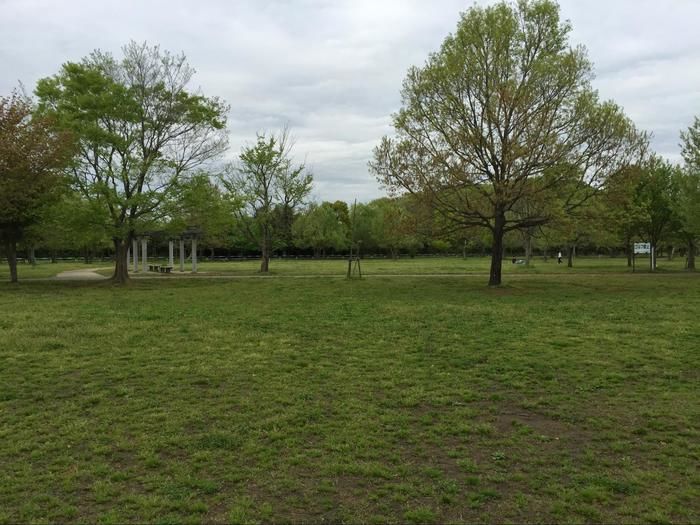 埼玉県荒川河川敷の市営公園